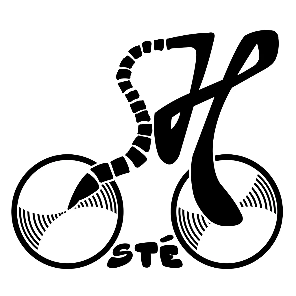 Sarah HINCELIN logo in navbar