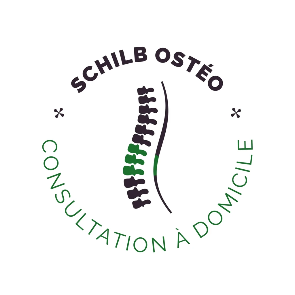 Bastien Schilb logo in navbar