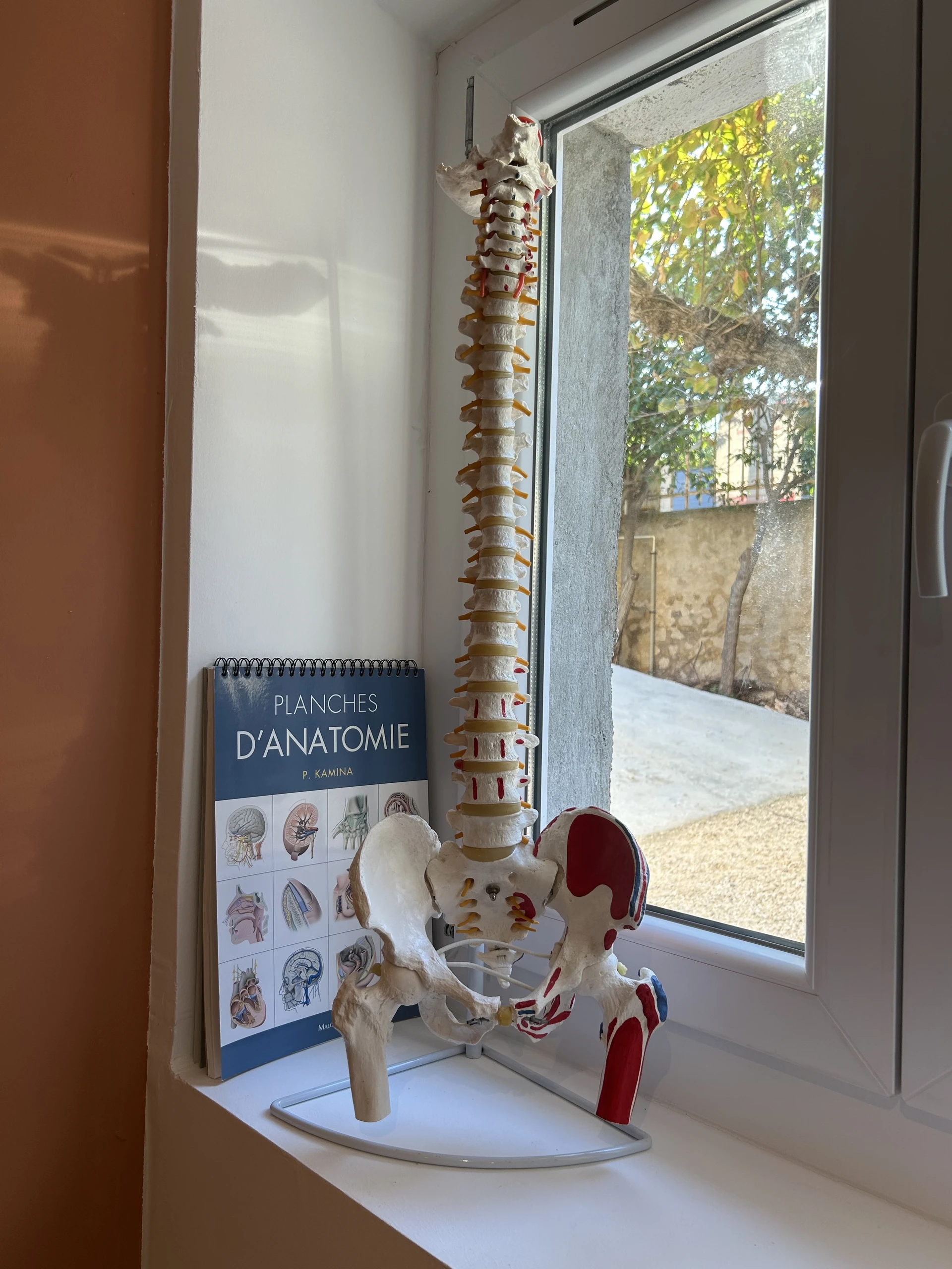 Décoration du cabinet