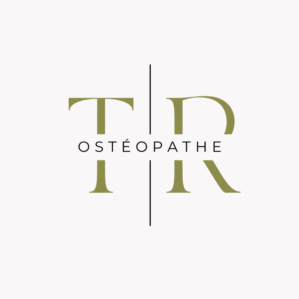 Théo Richard logo in navbar